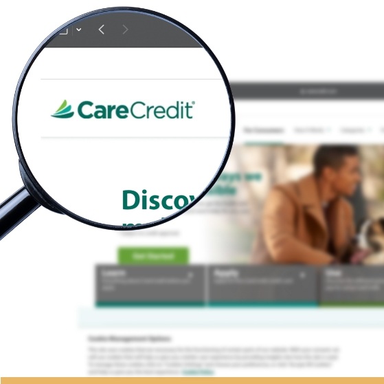 Magnifying glass showing CareCredit logo on their website